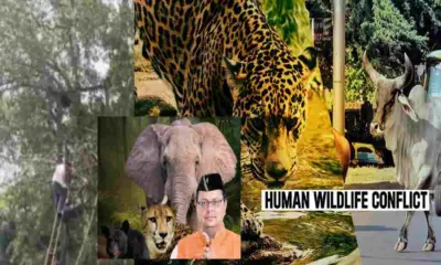 dehradun news live today: youth died due to electric shock current during wilds attack uttarakhand breaking