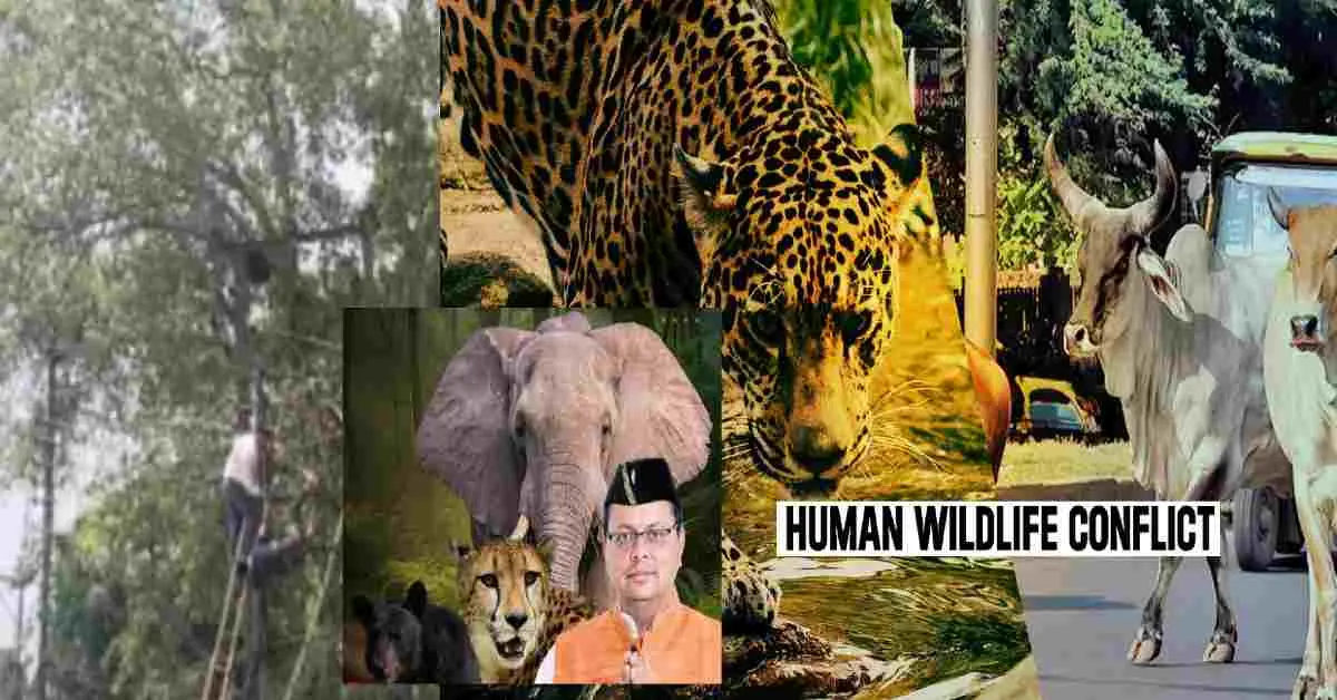 dehradun news live today: youth died due to electric shock current during wilds attack uttarakhand breaking