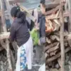 Pithoragarh news today: retired police khadak singh died daughter puspa performe funeral rites tejam tehsil uttarakhand live
