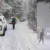 Uttarakhand weather mausam update rain snowfall alert forecast feb 9, 2026 breaking news today