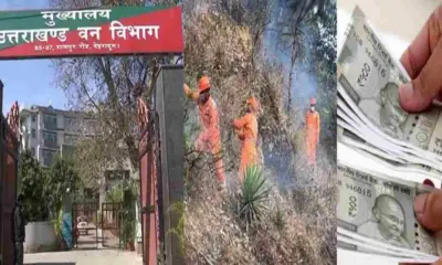 Uttarakhand forest daily worker cabinet approves minimum wages of 18000 for 589 employee breaking news meeting decision today