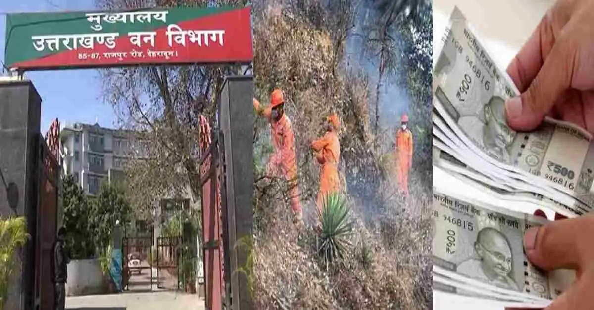 Uttarakhand forest daily worker cabinet approves minimum wages of 18000 for 589 employee breaking news meeting decision today