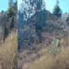 Car Accident himachal pradesh: fell into ditch 4 died of jani village kinauur news today
