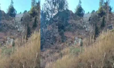 Car Accident himachal pradesh: fell into ditch 4 died of jani village kinauur news today
