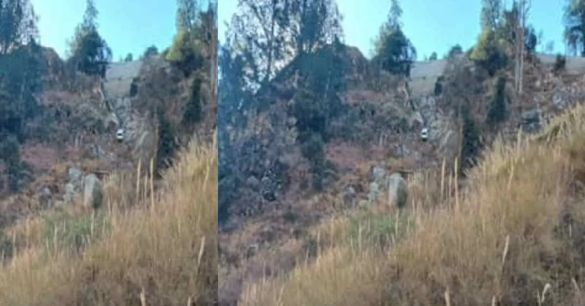 Car Accident himachal pradesh: fell into ditch 4 died of jani village kinauur news today
