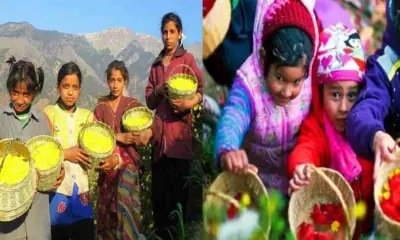 Uttarakhand phool dei festival 2026 date in hindi breaking news today phuldei lokparava