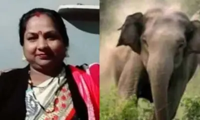 Uttarakhand champawat hathi attack: madhuri devi died killed by elephant in tanakpur today.