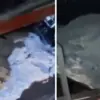Uttarakhand badrinath highway accident today: boulder fell landslide on tota ghati truck driver died devprayag road.