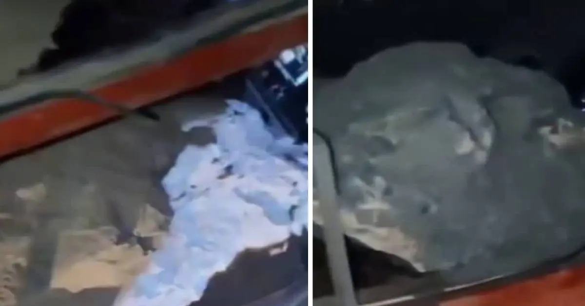 Uttarakhand badrinath highway accident today: boulder fell landslide on tota ghati truck driver died devprayag road.