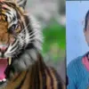 Uttarakhand nainital tiger attack today: kamla fartyal phartyal died in haldwani paniyali kathghariya