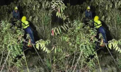 chamoli News today: hotel management student Sachin Rana died due to fell ditch during selfi in gopeshwar uttarakhand live