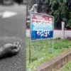 Uttarakhand rudrapur accident news today: security guard yogendra kumar died in kichha road