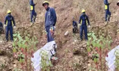 Uttarakhand Pithoragarh road Accident today: keshav singh died due to Tipper fell into ditch in gurna.