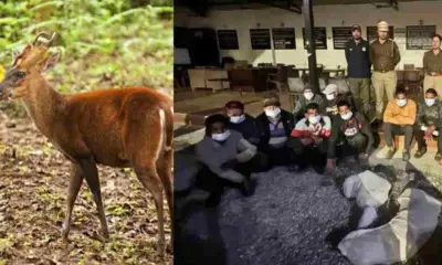 Rudraprayag news today: Wild kakar deer hunted during Holi, 14 people arrested by forest department Uttarakhand breaking