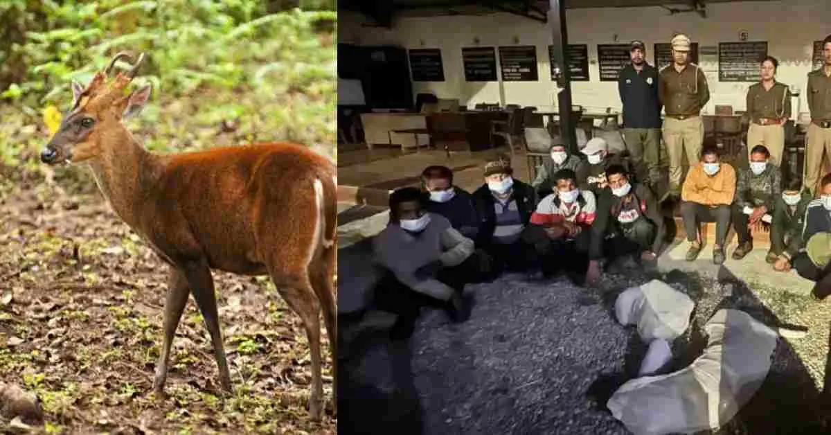 Rudraprayag news today: Wild kakar deer hunted during Holi, 14 people arrested by forest department Uttarakhand breaking