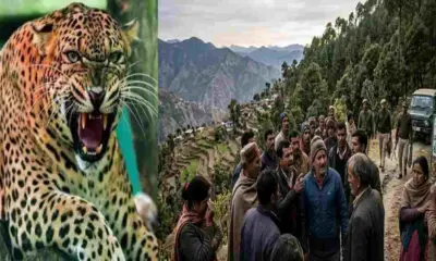 Pauri guldar attack today: prakash lal died in jamla village ghurdauri garhwal uttarakhand breaking news