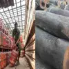 Uttarakhand gas cylinder news: If shortage of LPG, govt will provide wood for burning statement by subodh uniyal latest update today