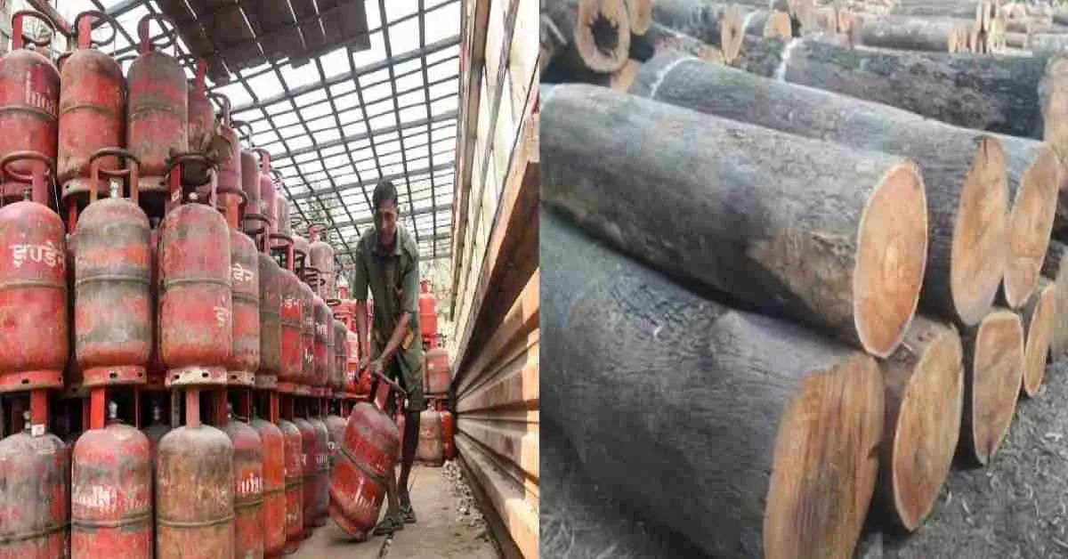 Uttarakhand gas cylinder news: If shortage of LPG, govt will provide wood for burning statement by subodh uniyal latest update today