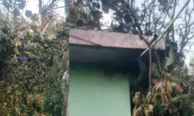 Ramnagar Nainital news today: 10-year-old innocent kanu Upadhyay died after being hit by a tree uttarakhand breaking