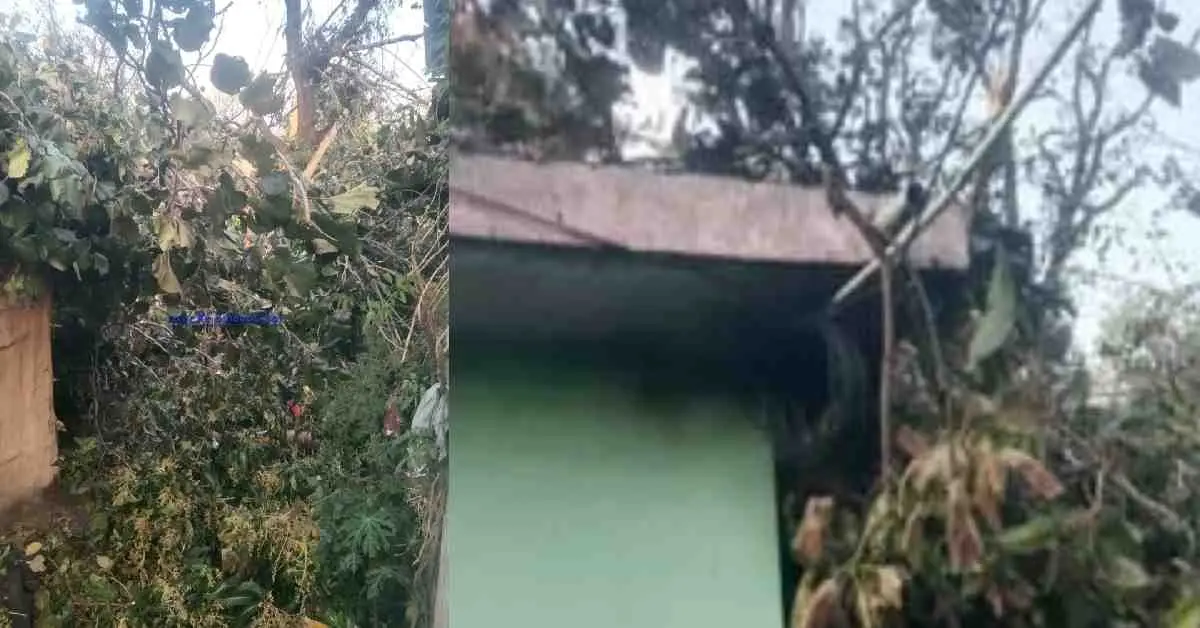 Ramnagar Nainital news today: 10-year-old innocent kanu Upadhyay died after being hit by a tree uttarakhand breaking