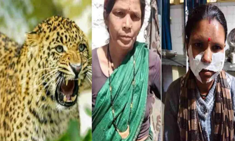 Champawat guldar attack: Sita became an angel and saved Geeta's life lohaghat leopard attack.