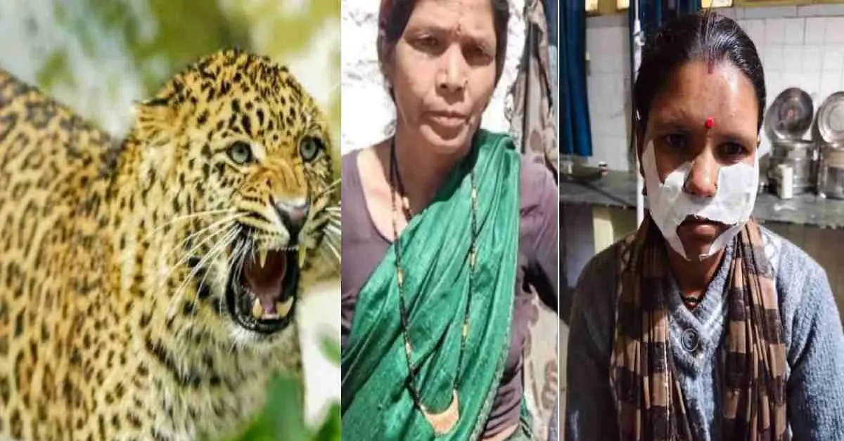 Champawat guldar attack: Sita became an angel and saved Geeta's life lohaghat leopard attack.