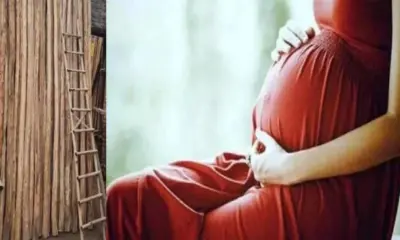 Tehri Garhwal news today: A wooden pole fell on the head of a pregnant woman Pramila died in narendranagar uttarakhand live