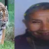 Khatima tiger attack today: Gopuli Devi, a woman died in Bagga Chauvan Khatima Surai range udham Singh Nagar