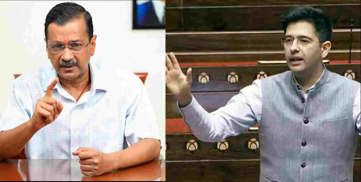 Raghav Chadda News Today Removed as deputy director Ashok Kumar Mittal will be next Deputy director
