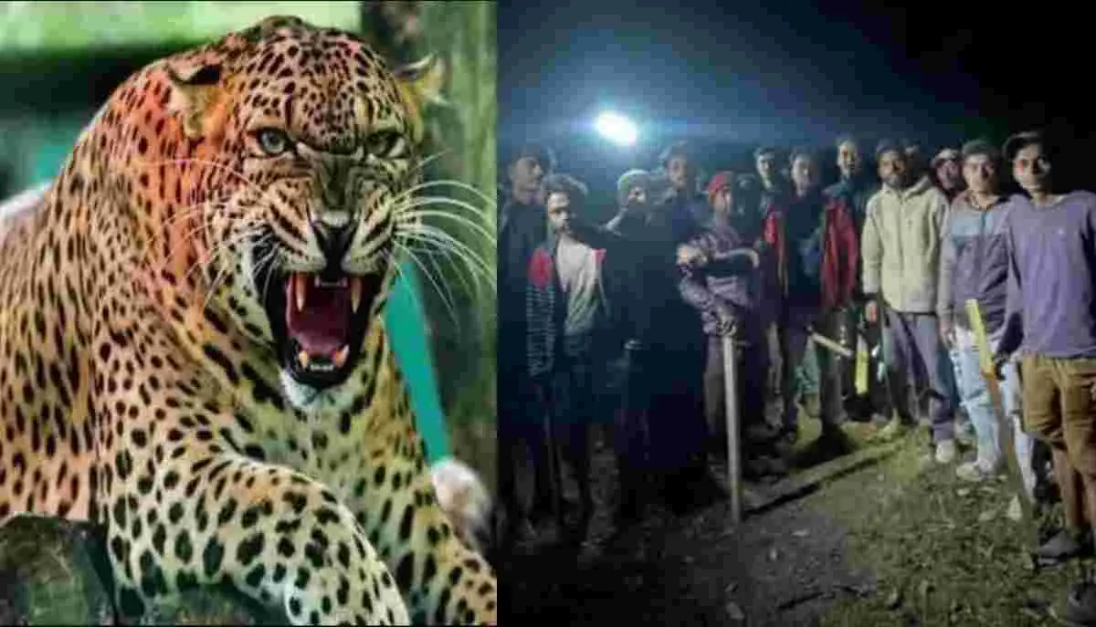 Uttarakhand breaking news: Nainital Bhujiyaghat Guldar leopard attack hansi devi lost Life
