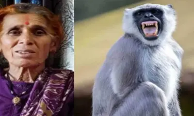 Pithoragarh news today: Woman leela devi died in Berinag langur attack, dies in hospital uttarakhand latest update