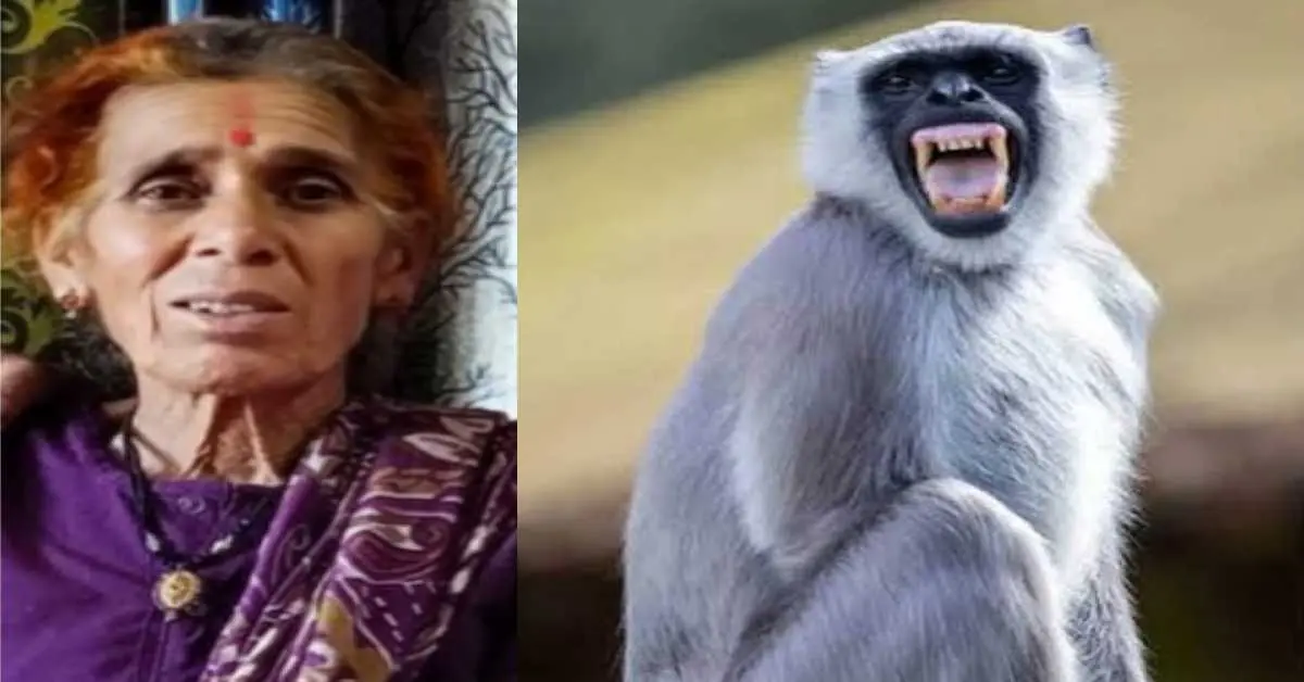 Pithoragarh news today: Woman leela devi died in Berinag langur attack, dies in hospital uttarakhand latest update
