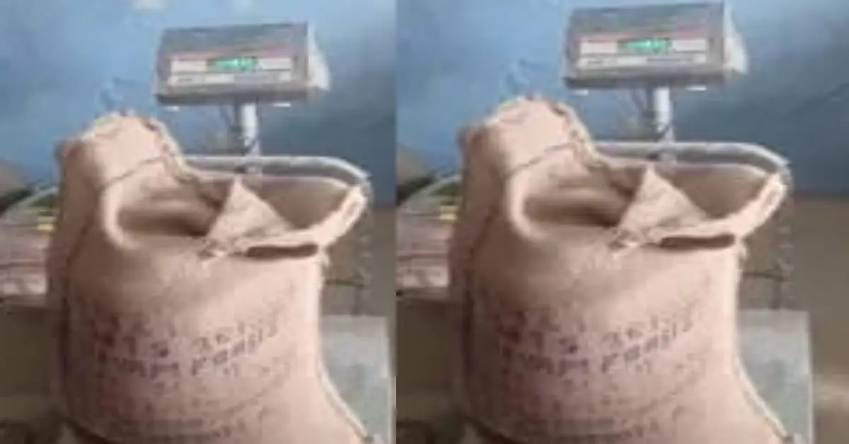 Almora ration news today: 43 kg rice found in a 50 kg sack of govt ration fraud scam uttarakhand breaking live