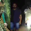 Dehradun guldar attack today: vikasnagar irfan died leopard tiger human wildlife uttarakhand breaking latest coverage