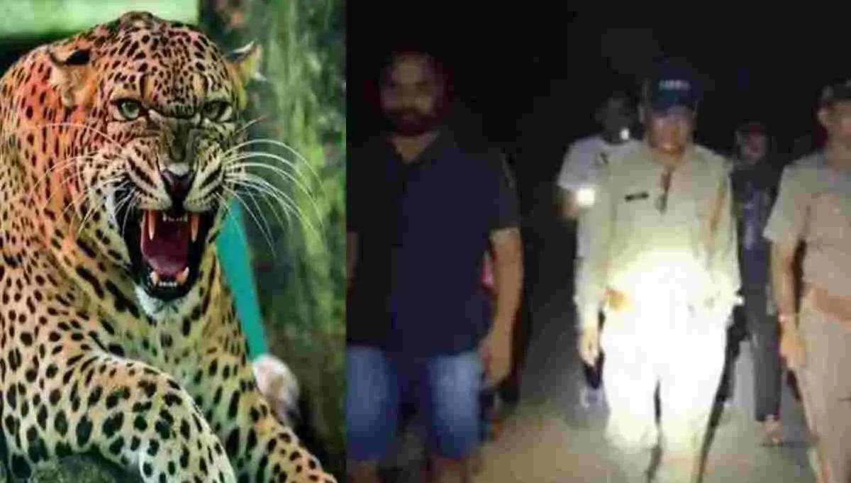 Dehradun guldar attack today: vikasnagar irfan died leopard tiger human wildlife uttarakhand breaking latest coverage
