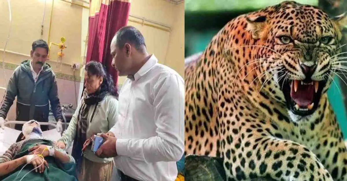Champawat guldar attack today: 12th-grade student Jyoti of chaumel barakot attacked by a leopard uttarakhand breaking