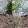 Tehri Garhwal road accident: Truck carrying govt ration falls into Yamuna river in nainbagh today, 1 missing dehradun uttarakhand breaking news live