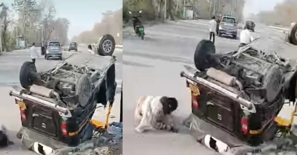 Haldwani lalkuan accident today: auto tampo overturned car Accident one died on the spot lalkuan highway road nainital breaking news