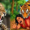 Bhimtal guldar attack today: hema pandey of jyolikot died leopard tiger attack nainital breaking uttarakhand human wildlife case latest news