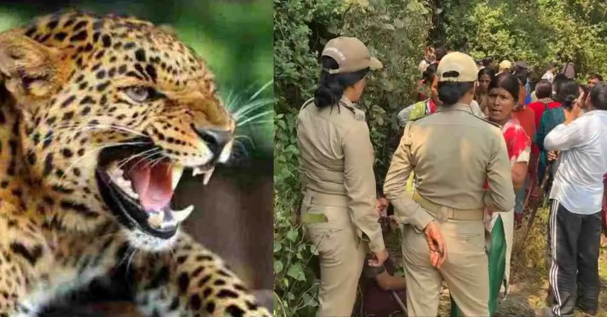 Pauri guldar attack today: seeta devi died in leopard tiger attack satyakhal garhwal bamthi village news Uttarakhand live update