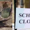 Uttarakhand breaking news: Schools Closed for Two Days in Pauri Amid Leopard Guldar Fear