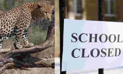 Uttarakhand breaking news: Schools Closed for Two Days in Pauri Amid Leopard Guldar Fear