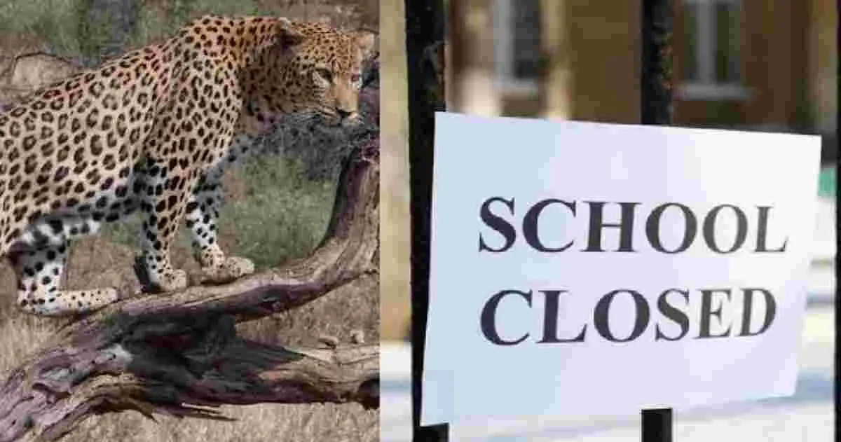Uttarakhand breaking news: Schools Closed for Two Days in Pauri Amid Leopard Guldar Fear