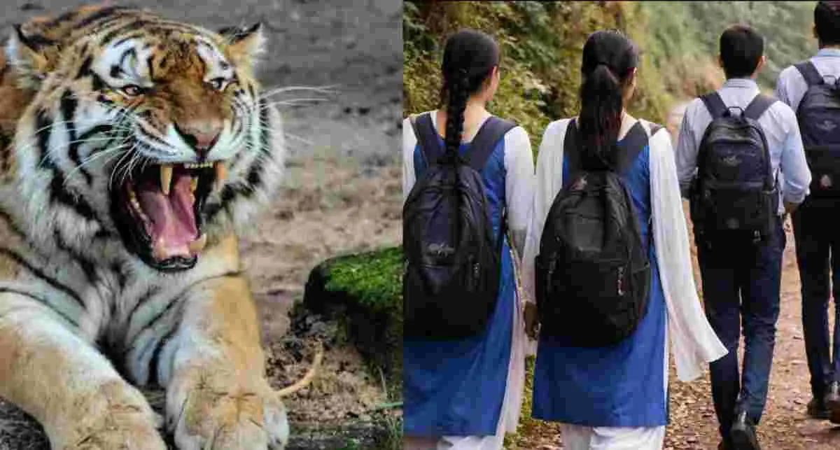 Nainital district Bhimtal school holiday closed due to tiger attack threat till 27 april news