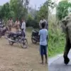 Nainital elephant attack today: 2 died in hathi elephant attack lalkuan news uttarakhand breaking news live today
