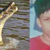 Uttarakhand haridwar News live crocodile attack news India wildlife attack in Uttarakhand