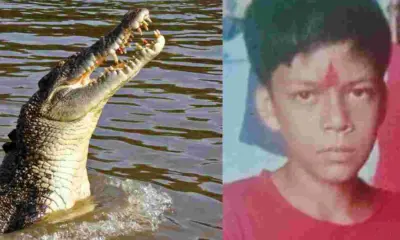 Uttarakhand haridwar News live crocodile attack news India wildlife attack in Uttarakhand