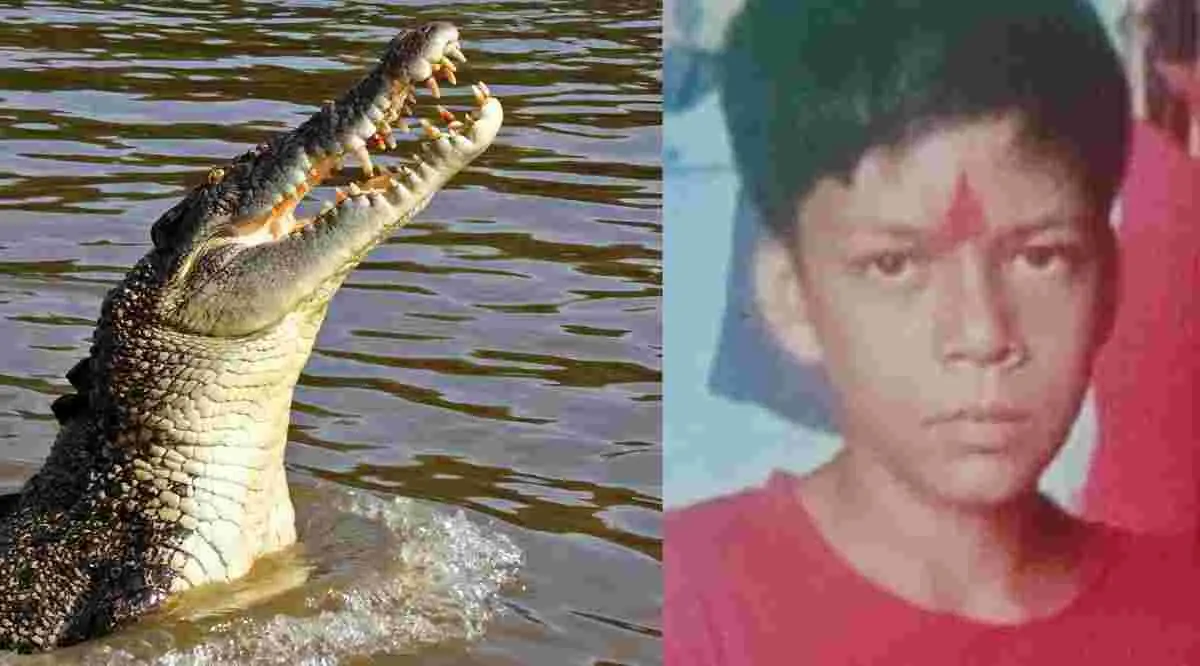 Uttarakhand haridwar News live crocodile attack news India wildlife attack in Uttarakhand