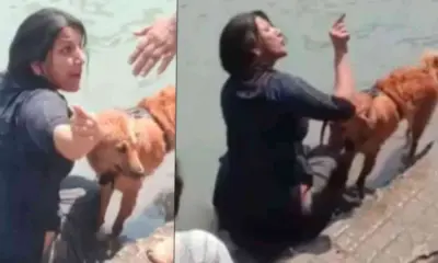 Haridwar Ganga Ghat Viral Video: Woman Bathing Pet Dog Sparks Controversy, Argument Video Viral