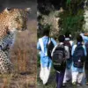 Uttarakhand breaking news|Pauri Garhwal Guldar attack School close holiday news| Wildlife attack compensation India|